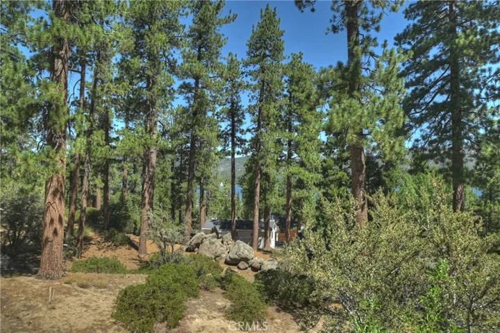 40550 Quail Run Road, Big Bear, California 92315