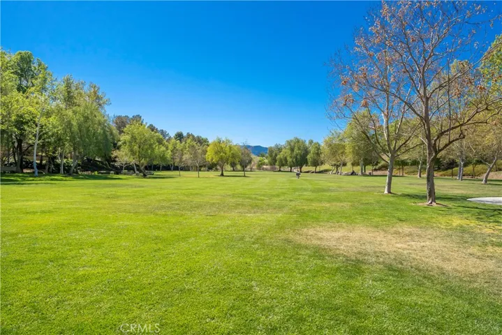 24450 Snowy Owl Court, Valencia, California 91355