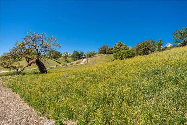 24450 Snowy Owl Court, Valencia, California 91355