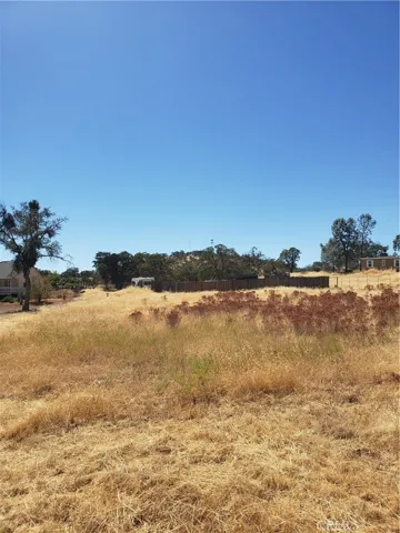 2990 Cadena Way, Coulterville, California 95311