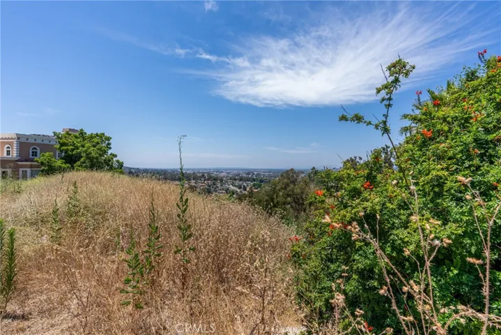 317 S Ramsgate Drive, Anaheim Hills, California 92807