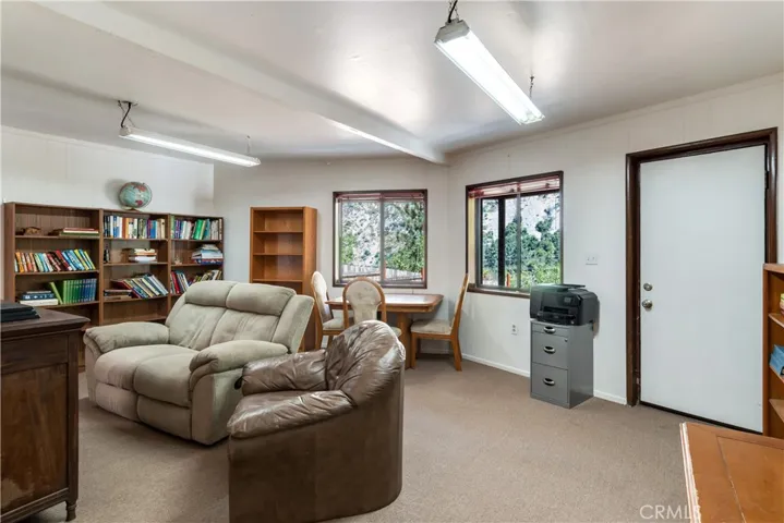 Lower level family room