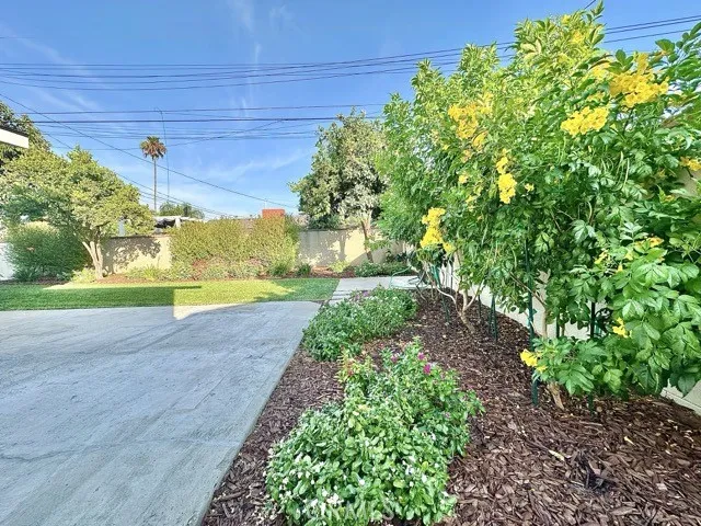 New landscaping