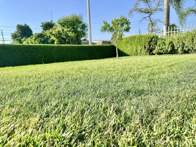 968 N Feather Avenue, La Puente, California 91746