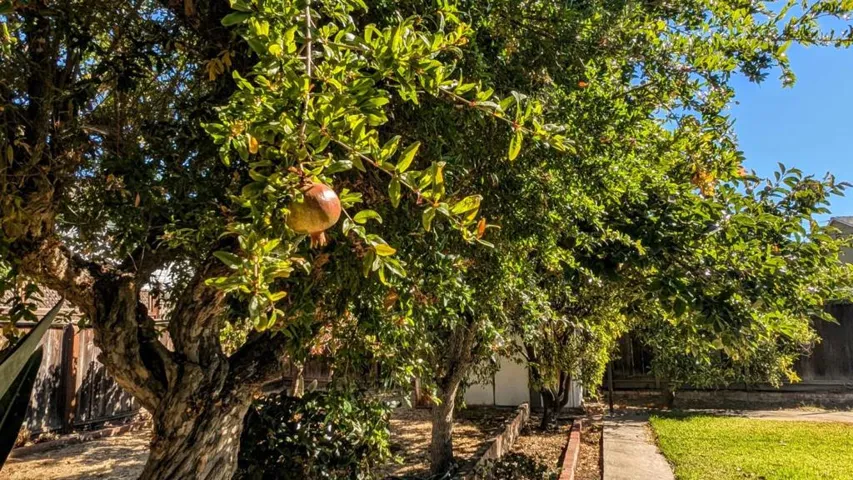 2913 Warm Springs Drive, San Jose, California 95127