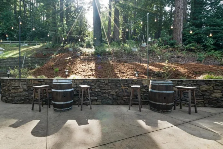 38 Polo, Scotts Valley, California 95066