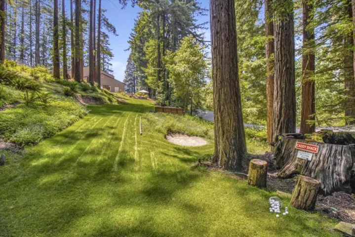 38 Polo, Scotts Valley, California 95066