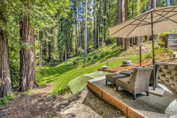 38 Polo, Scotts Valley, California 95066