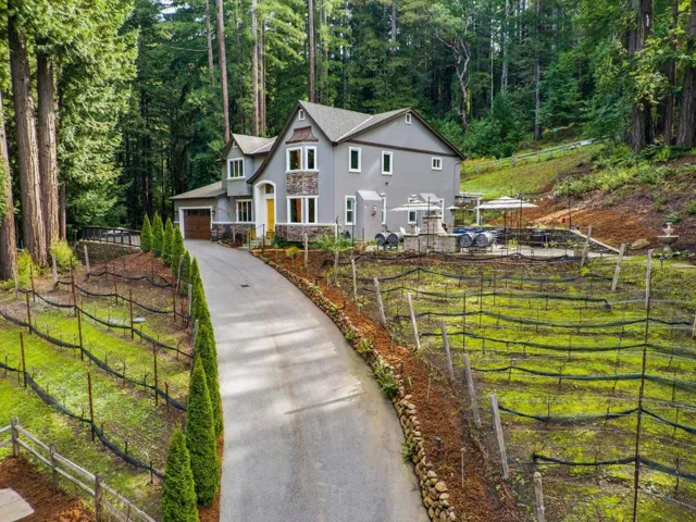 38 Polo, Scotts Valley, California 95066