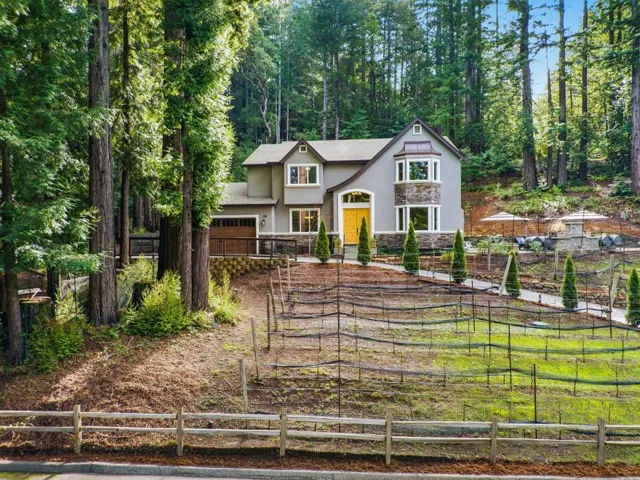 38 Polo, Scotts Valley, California 95066