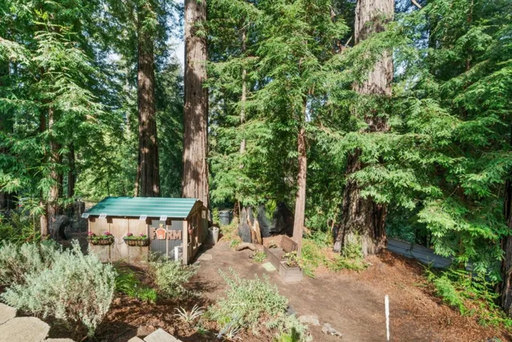 38 Polo, Scotts Valley, California 95066