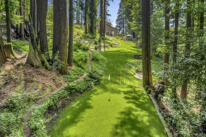 38 Polo, Scotts Valley, California 95066