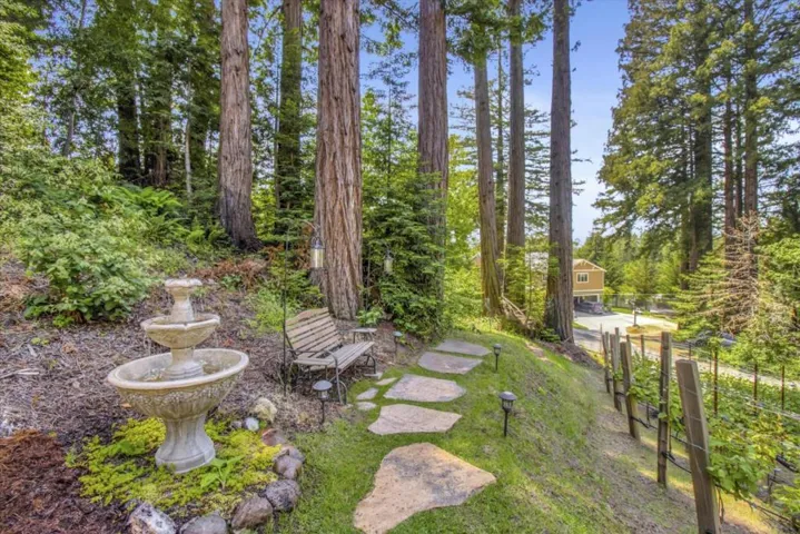 38 Polo, Scotts Valley, California 95066