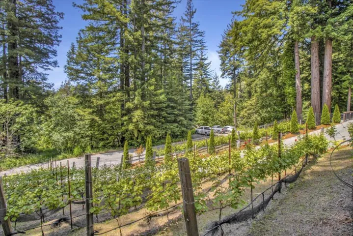 38 Polo, Scotts Valley, California 95066