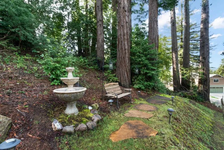 38 Polo, Scotts Valley, California 95066