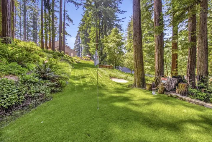 38 Polo, Scotts Valley, California 95066