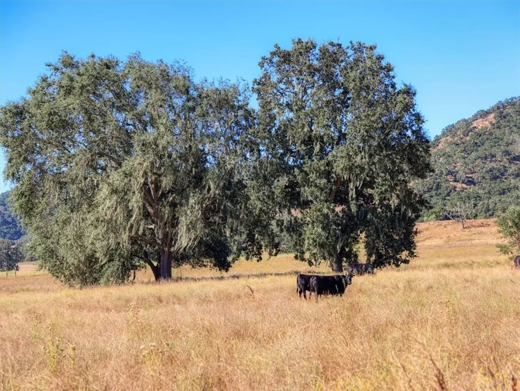 5720 Huasna Townsite Road, Arroyo Grande, California 93420 home-pic-12