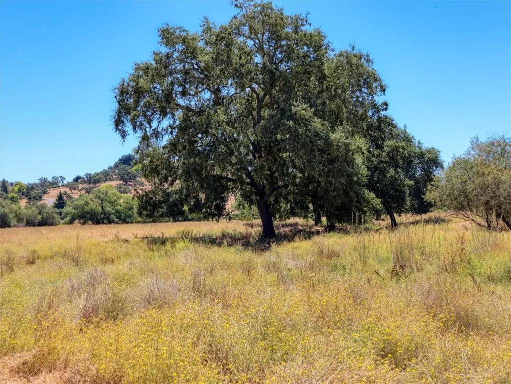 5720 Huasna Townsite Road, Arroyo Grande, California 93420 home-pic-58