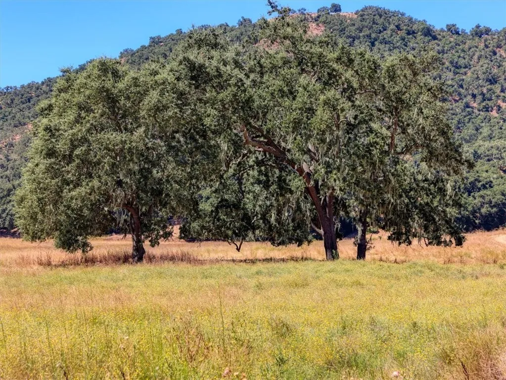 5720 Huasna Townsite Road, Arroyo Grande, California 93420 home-pic-57