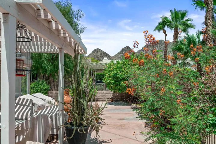 Patio View