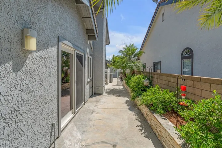 South side yard