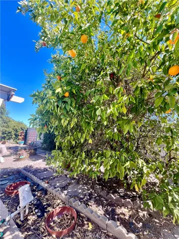24600 Mountain Ave 7, Hemet, California 92544