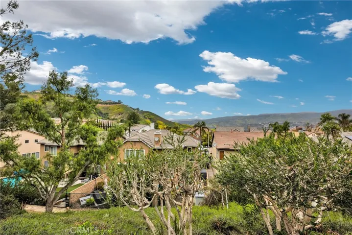 8831 E Garden View Drive, Anaheim Hills, California 92808