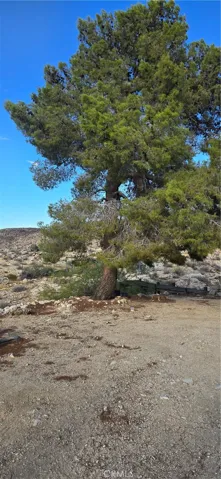 56457 Mesquite Road, Landers, California 92285