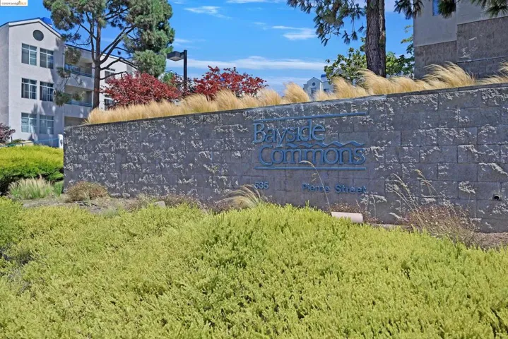 535 Pierce St 3202, Albany, California 94706