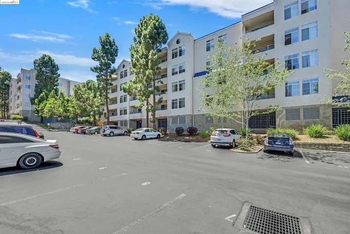 535 Pierce St 3202, Albany, California 94706
