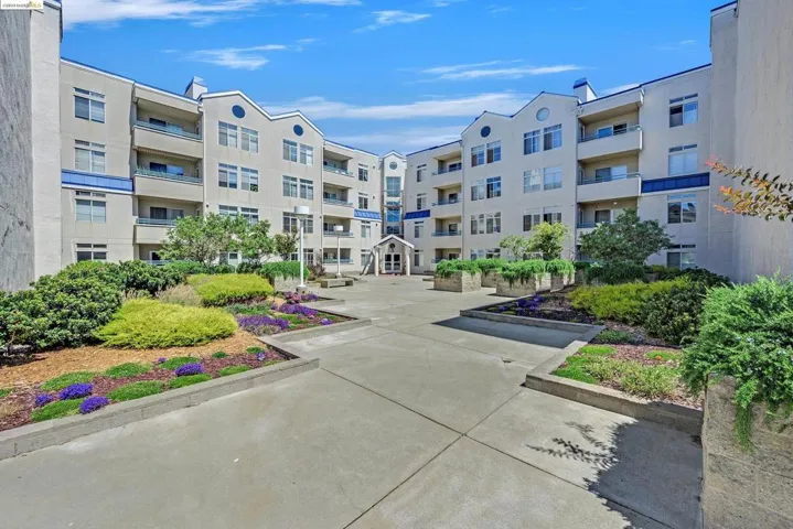 535 Pierce St 3202, Albany, California 94706