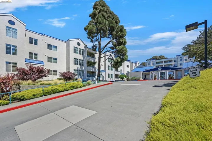 535 Pierce St 3202, Albany, California 94706