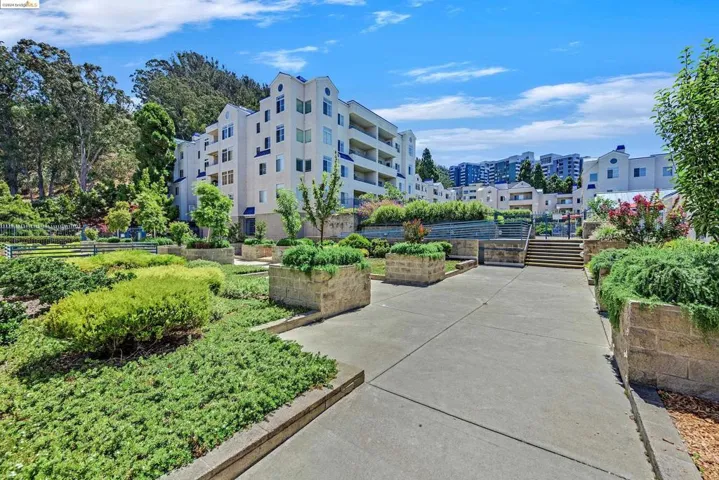 535 Pierce St 3202, Albany, California 94706
