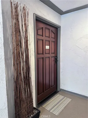 Unit Entry Door (current picture)