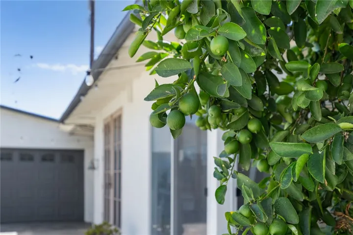 828 E Jefferson Avenue, Pomona, California 91767