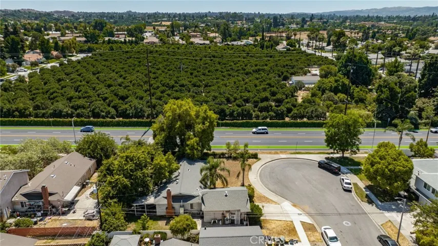 Neighboring Orange Groves.