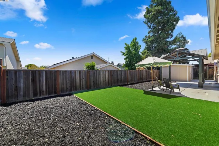 LOW MAINTENANCE TURF
