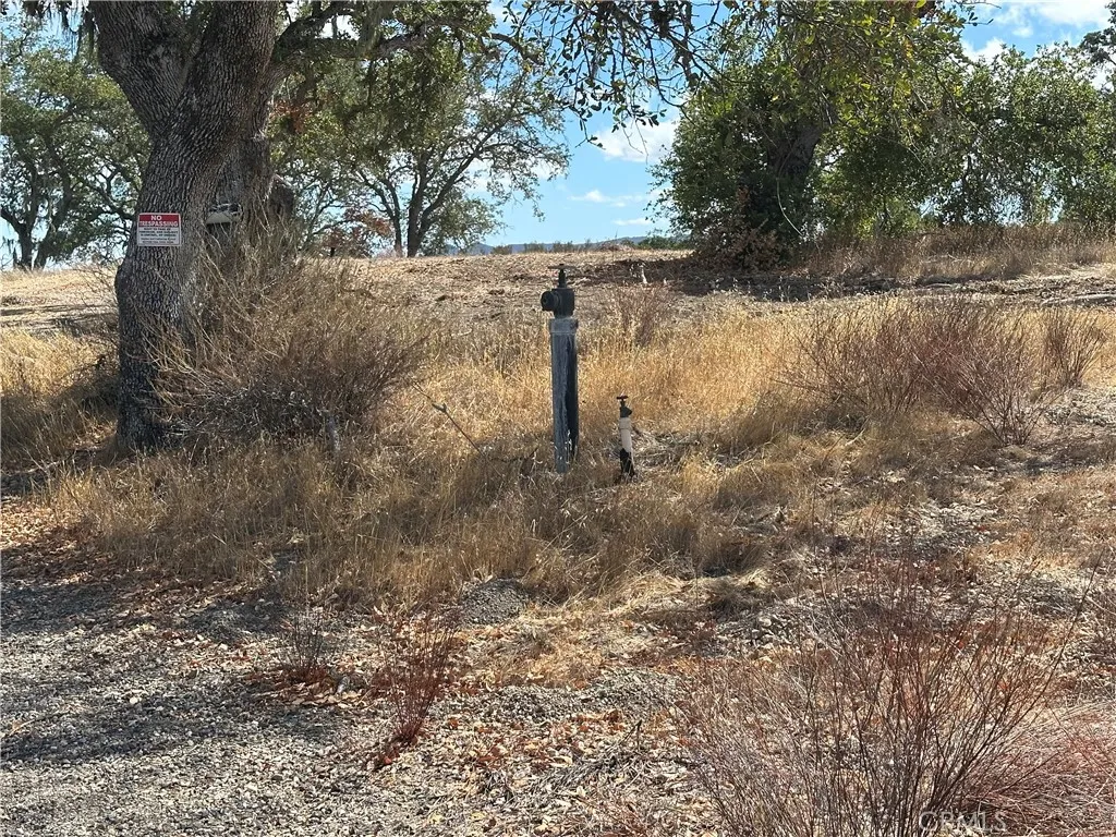fire hydrant