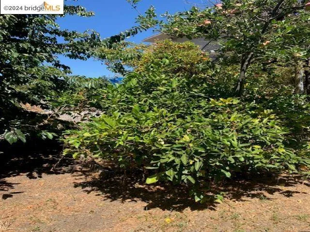 2353 East 21st St, Oakland, California 94601