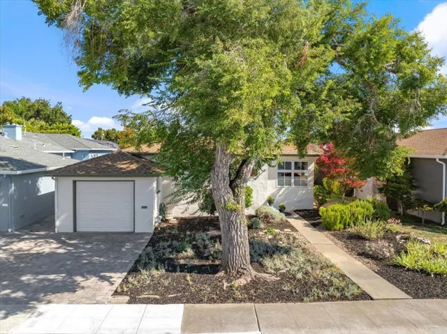 220 Del Rosa Way, San Mateo, California 94403