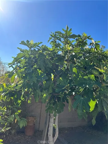 18300 Companario Drive, Rowland Heights, California 91748