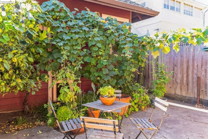 Patio w/lemon & grapevine