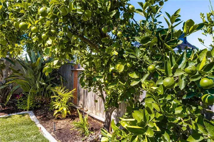 25081 Timber Avenue, Mission Viejo, California 92691