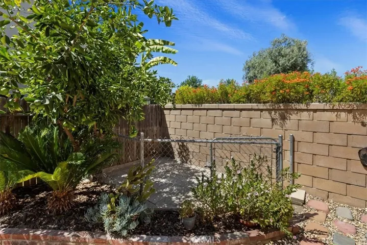 ..Backyard