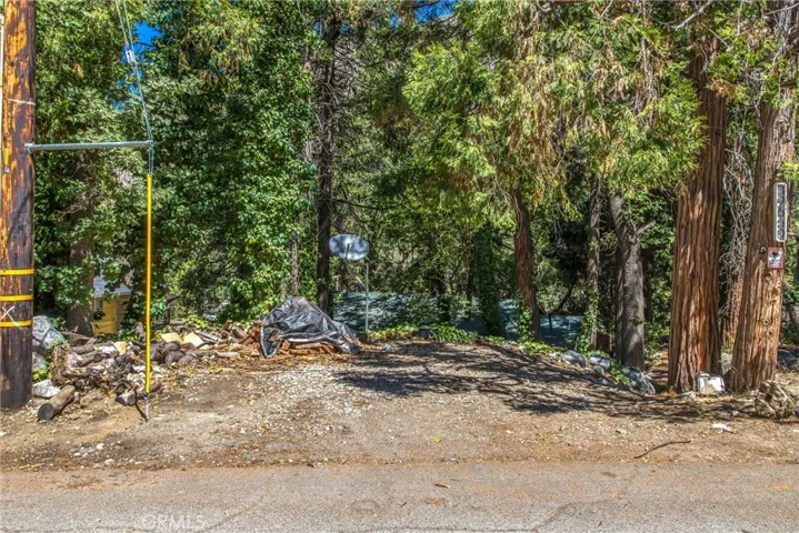 39660 Prospect Dr., Forest Falls, California 92339