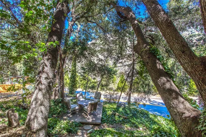 39660 Prospect Dr., Forest Falls, California 92339