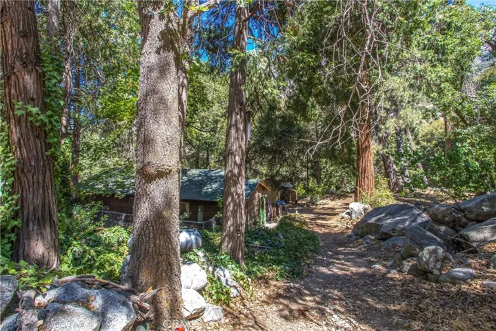 39660 Prospect Dr., Forest Falls, California 92339