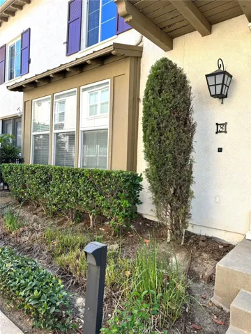 front yard