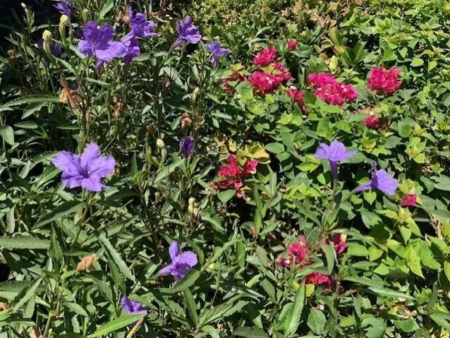 219EntryFlowers