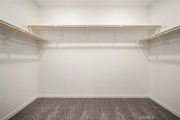Master Walk in Closet